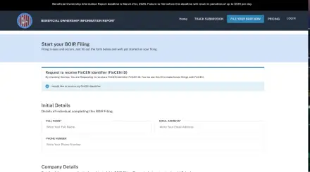BOIR Filing website homepage